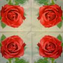 029 Rosen - 3-lagig (blau)